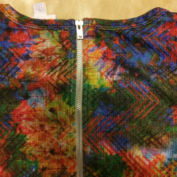 🌺LulaRoe Multicolor Amelia Zipper Dress, L - Picture 7 of 8